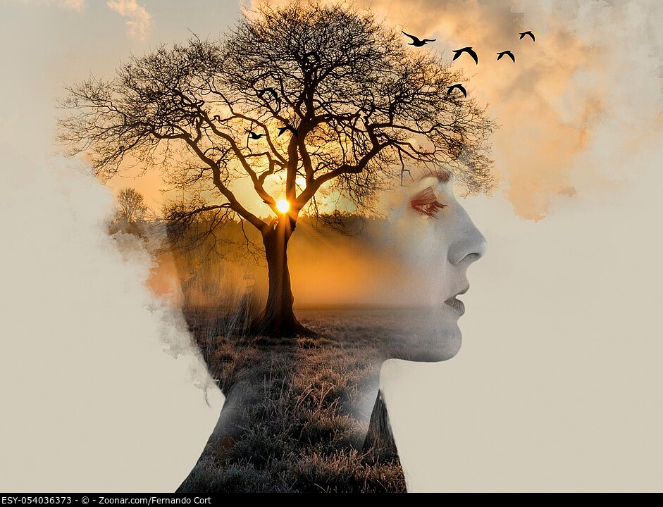 double exposure, beautiful woman with tan fused with a sunset and a lonely tree, loneliness concept