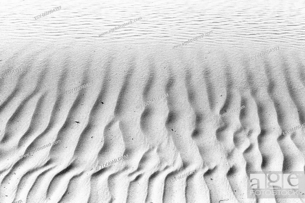 Stock Photo: abstract texture line wave in oman the old desert and the empty quarter.