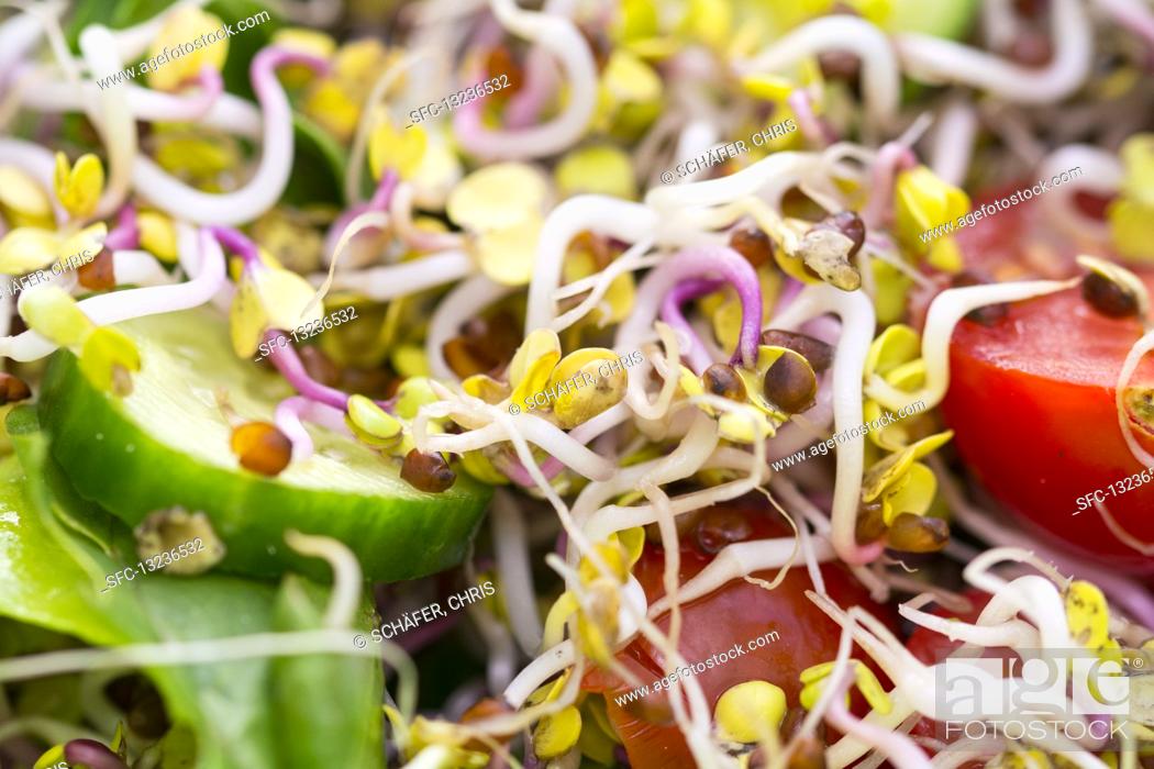 Stock Photo: Fresh beansprouts with cucumber and tomatoes.