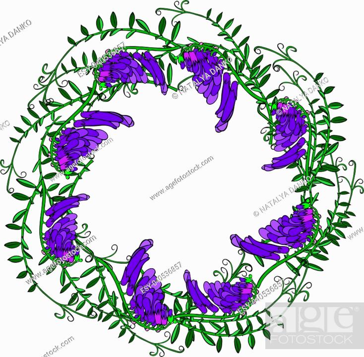 Stock Vector: wreath of mouse purple peas and green leaves isolated on white background.