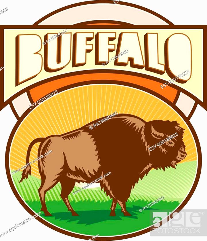 Vecteur de stock: Illustration of an american bison buffalo bull viewed from the side set inside oval shape with sunburst and field in the background and the word Buffalo set.