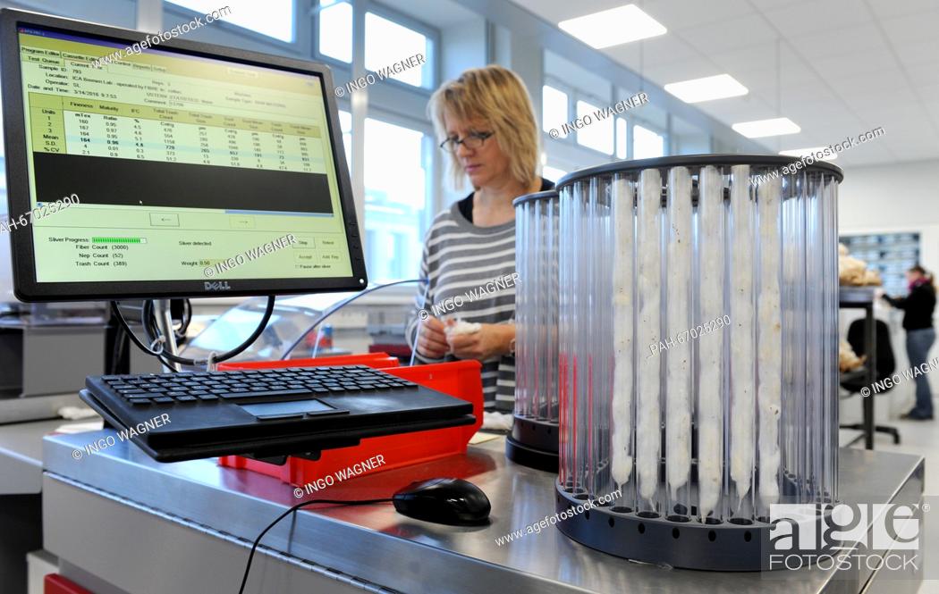 Stock Photo: An employee of the Bremen Cotton Exchange prepares fibre samples from various growing areas for laser scanning using an analyser.