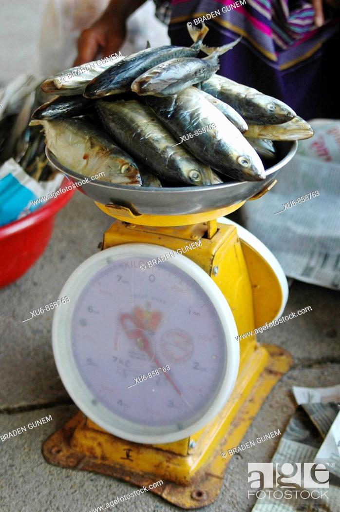 Stock Photo: Fish being weighed for sale Floating Market Damnoen Saduak, Thailand.