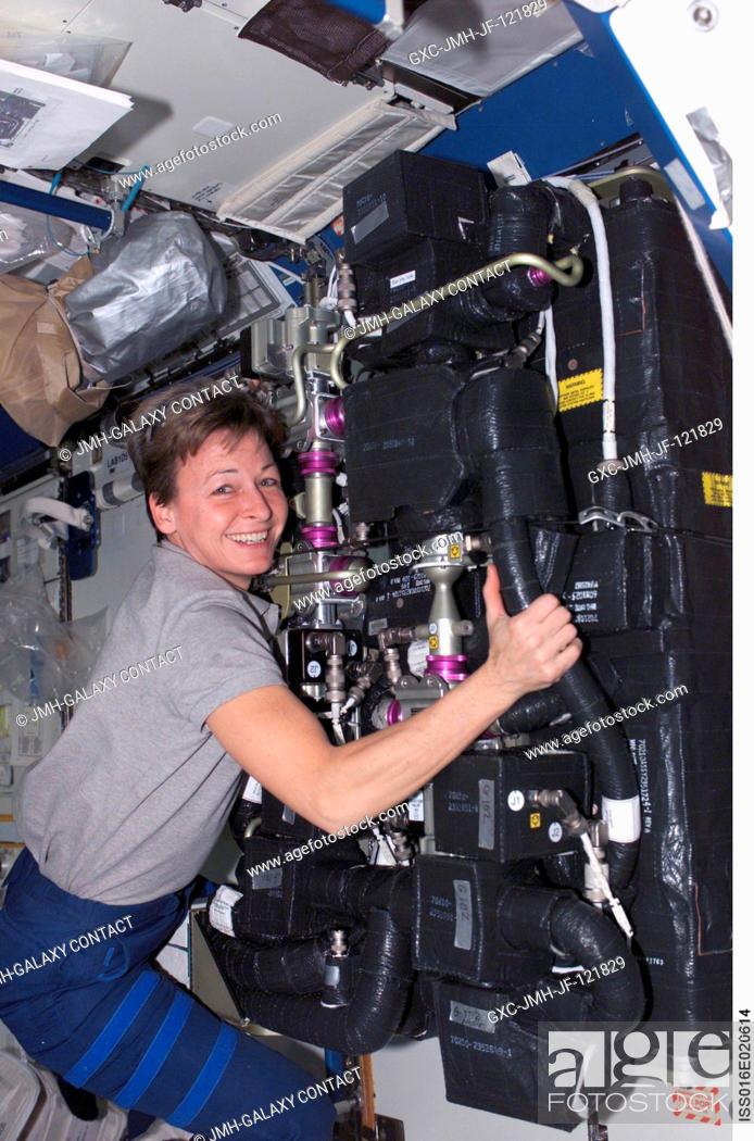 Stock Photo: Astronaut Peggy A. Whitson, Expedition 16 commander, performs in-flight maintenance (IFM) on a Carbon Dioxide Removal Assembly (CDRA) in the Destiny laboratory.