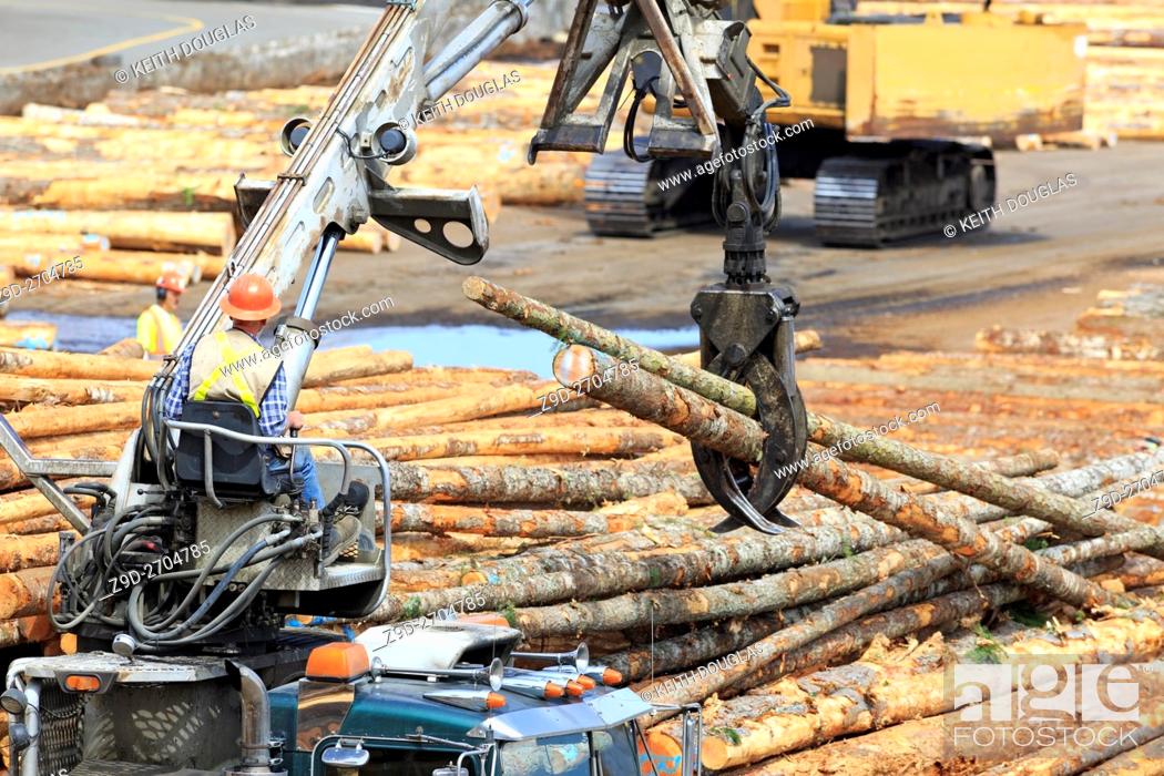 Stock Photo: Self loading logging truck operator loading logs at sawmill, Ladysmith, Vancouver Island, British Columbia.