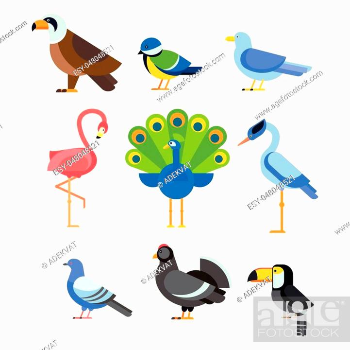 Birds vector set. Colorful wildlife nature collection. Cartoon wing flying  animal cute drawing..., Stock Vector, Vector And Low Budget Royalty Free  Image. Pic. ESY-048048521 | agefotostock