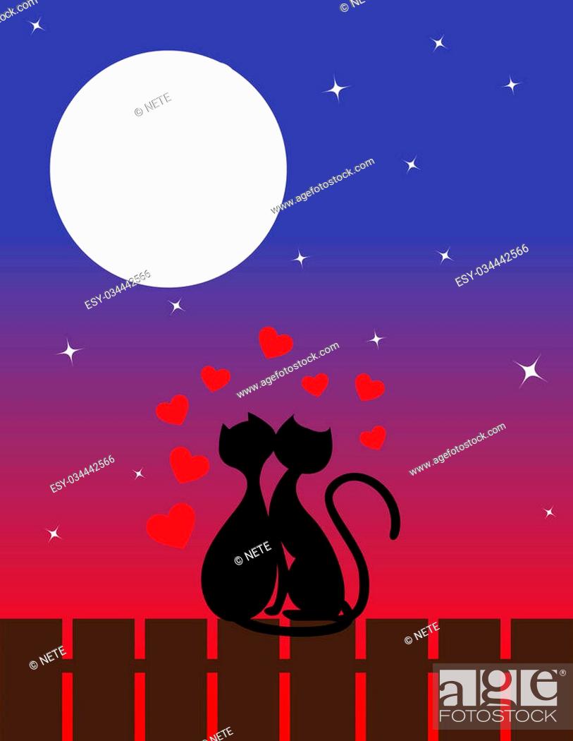 cartoon of two cats in love sitting on the roof watching sunset, Stock  Photo, Picture And Low Budget Royalty Free Image. Pic. ESY-034442566 |  agefotostock