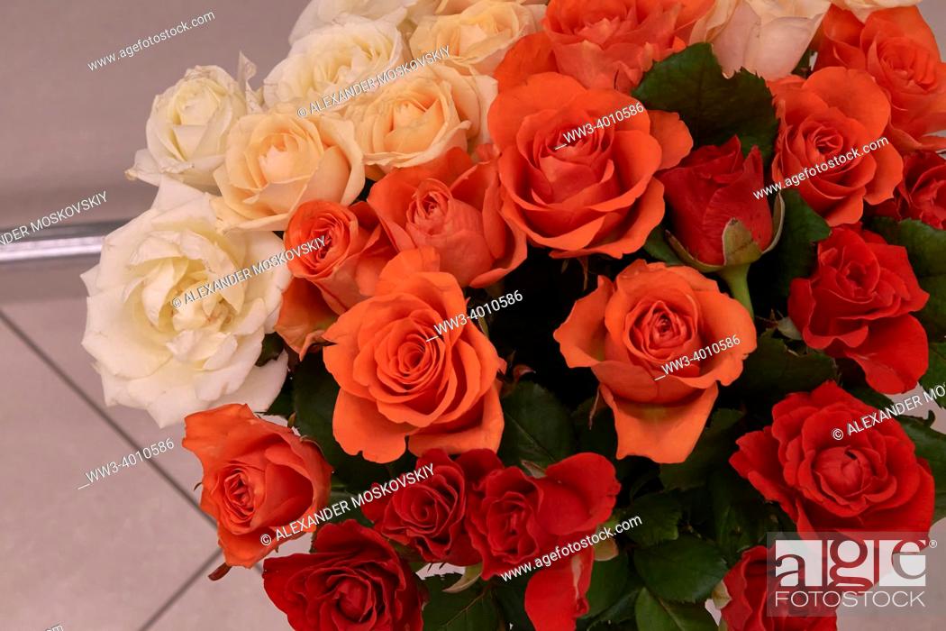 Stock Photo: Roses bouquet close up.