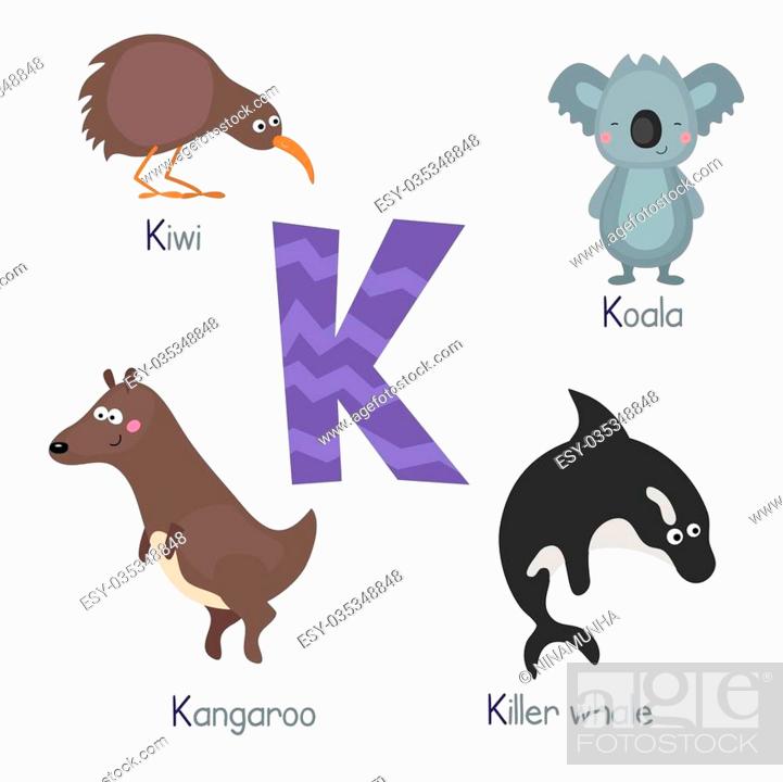 Cute vector zoo alphabet. Funny cartoon animals: kiwi, koala, kangaroo,  killer whale, Stock Vector, Vector And Low Budget Royalty Free Image. Pic.  ESY-035348848 | agefotostock
