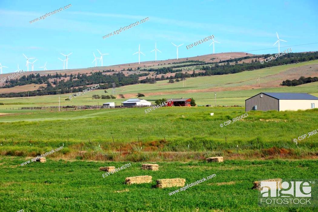 Stock Photo: Rural farmland and wind turbines.