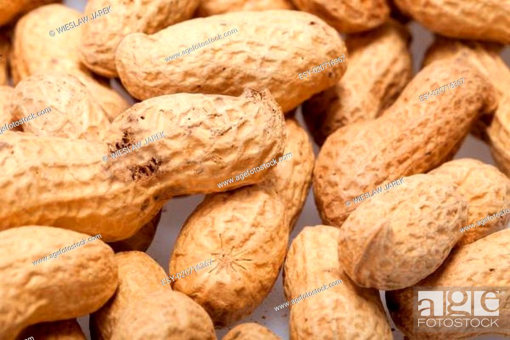 Stock Photo: Dried peanuts in closeup on the white background.