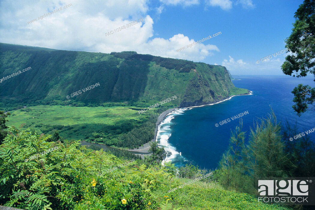 Stock Photo: Big Island, Hamakua Coast, Waipio Valley lookout, lush greenery, cliffs C1613.