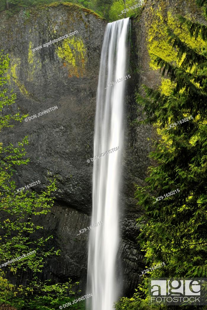 Stock Photo: Latourelle Falls, Columbia Gorge Nat Scenic Area, Orgeon, USA.