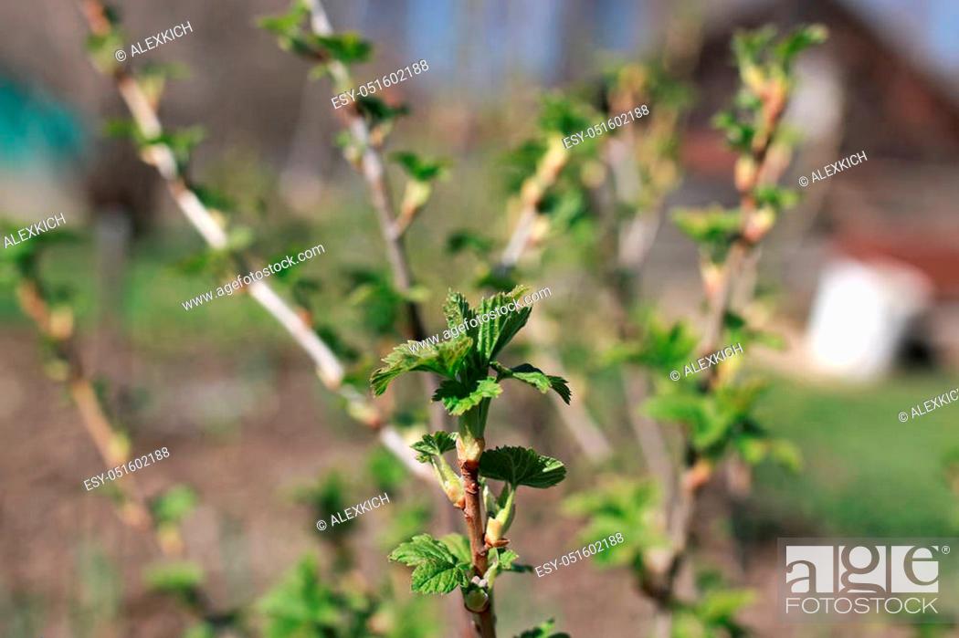 Stock Photo: various objects of the spring season in the best of this wonderful period.