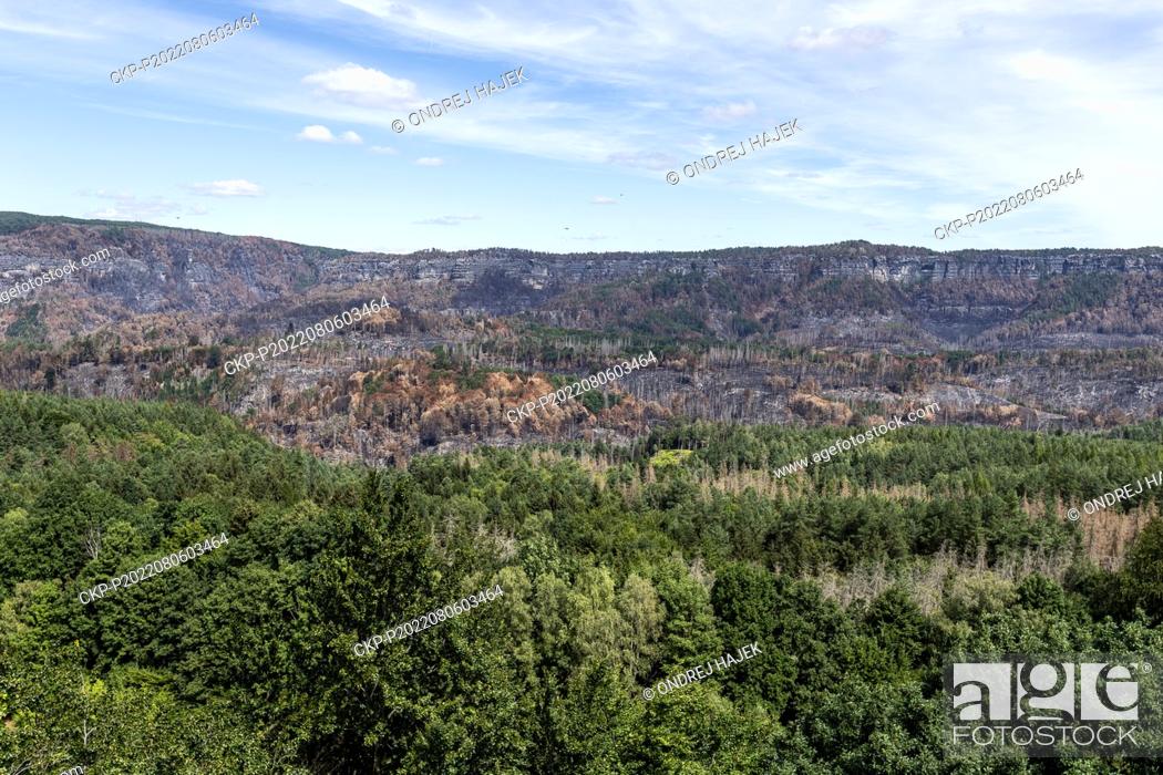 Photo de stock: A large forest fire in the Ceske Svycarsko (Czech Switzerland) National Park, near Hrensko, Czech Republic, on August 6, 2022.
