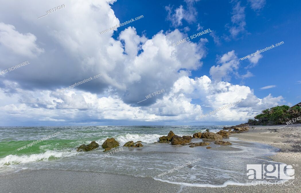 Imagen: Big white clouds over the Gulf of Mexico at Caspersen Beach in Vencie Florida.