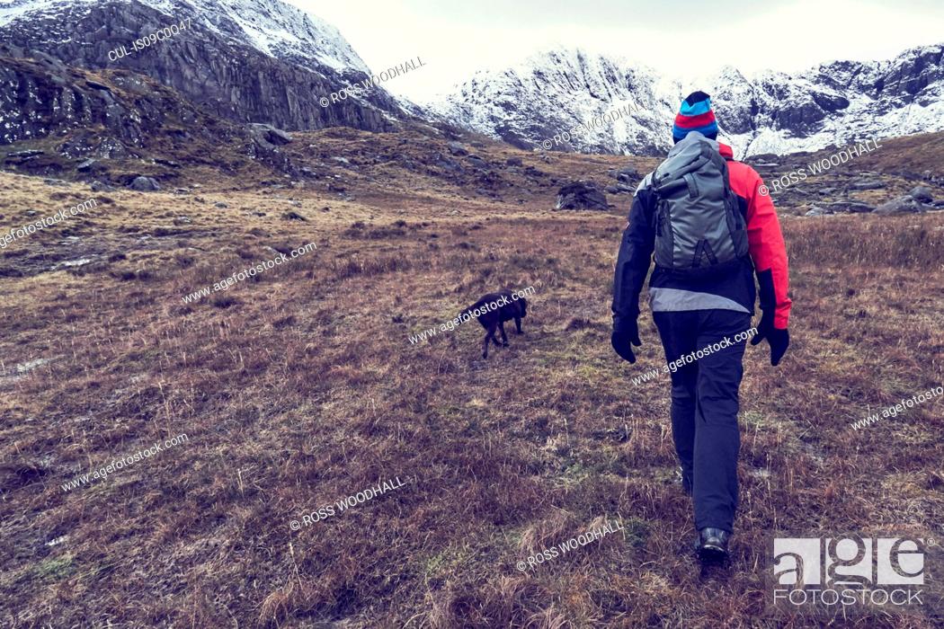 Stock Photo: Male hiker and dog hiking up rugged landscape with snow capped mountains, rear view, Llanberis, Gwynedd, Wales.