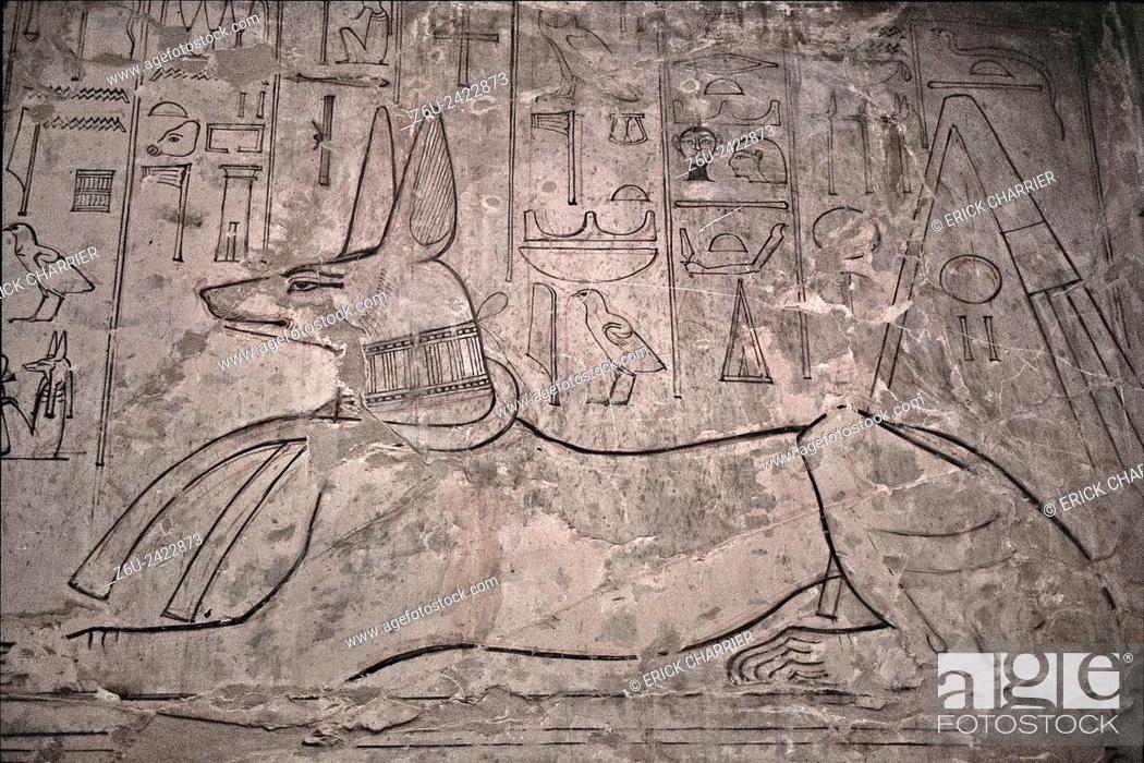 Stock Photo: Thebes, West Bank, Kings Valley, Seti I tomb (KV17). Anubis.