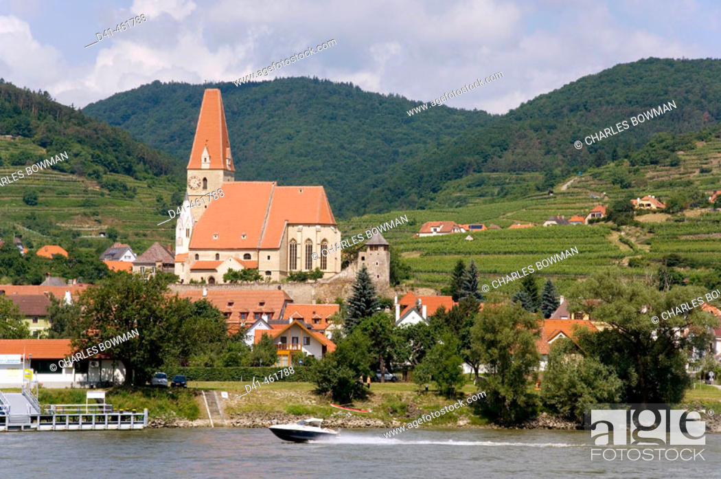Stock Photo: Europe, Lower Austria, Wachau, Weissenkirchen pfarrkirche and vineyards.