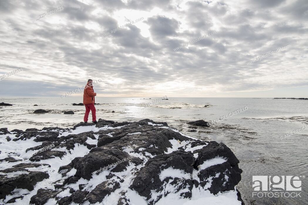 Photo de stock: Ytri tunga seal reserve in Iceland Snaefellsnes peninsule.