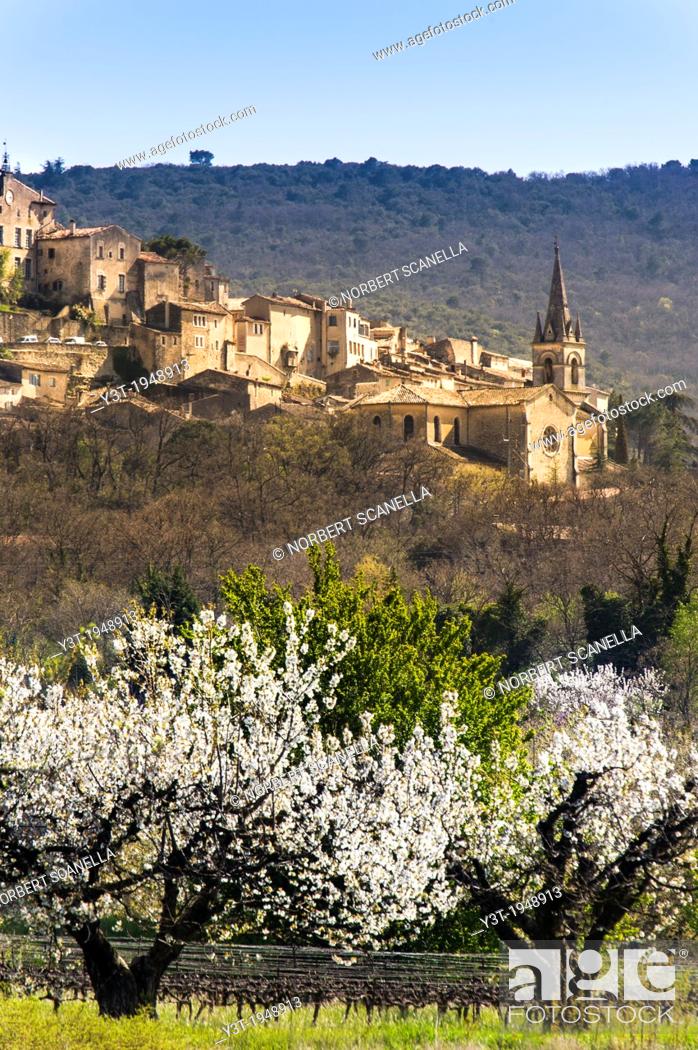 Stock Photo: Europe, France, Vaucluse, Luberon. Cherry blossoms at the perched village of Bonnieux.