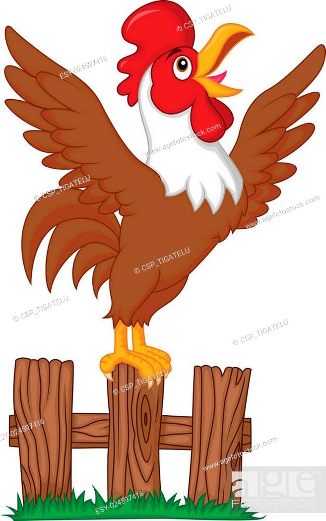Cute rooster cartoon crowing on the, Stock Vector, Vector And Low Budget  Royalty Free Image. Pic. ESY-024597416 | agefotostock