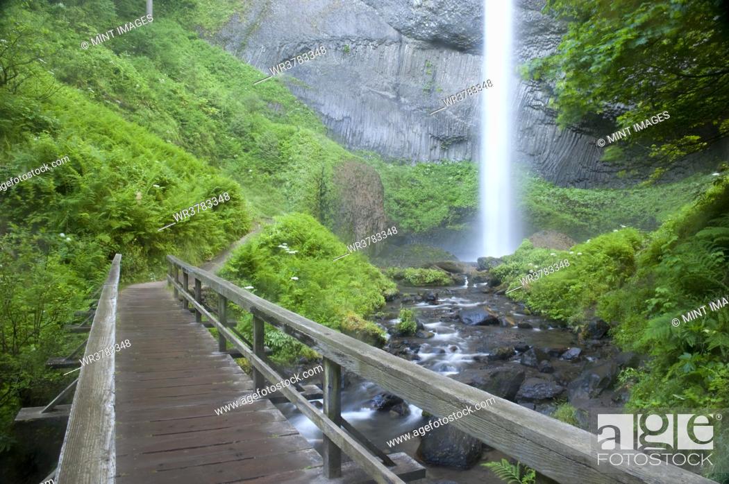 Stock Photo: Latourell Falls, a waterfall cascading down the cliffs into the Columbia River Gorge, a wooden footbridge.
