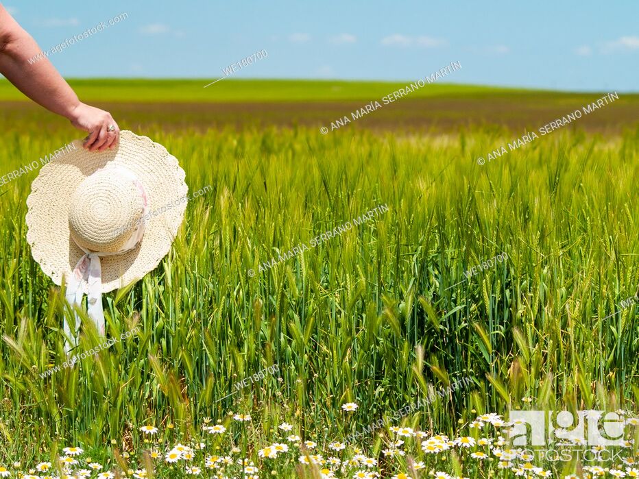 Imagen: Unrecognizable with a straw hat in his hand in a farm field in spring barley person.