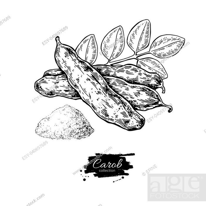 Food Items | Food cartoon, Cute food drawings, Food items