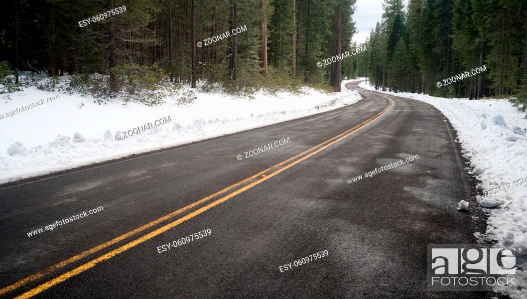 Stock Photo: The road is drying in the sun during the winter in National Forest territory.