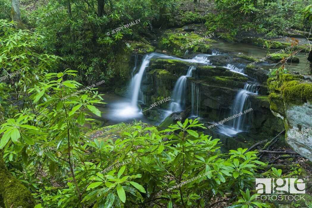 Stock Photo: Stream & Waterfalls in Greenbrier in Great Smoky Mountains National Park, TN.