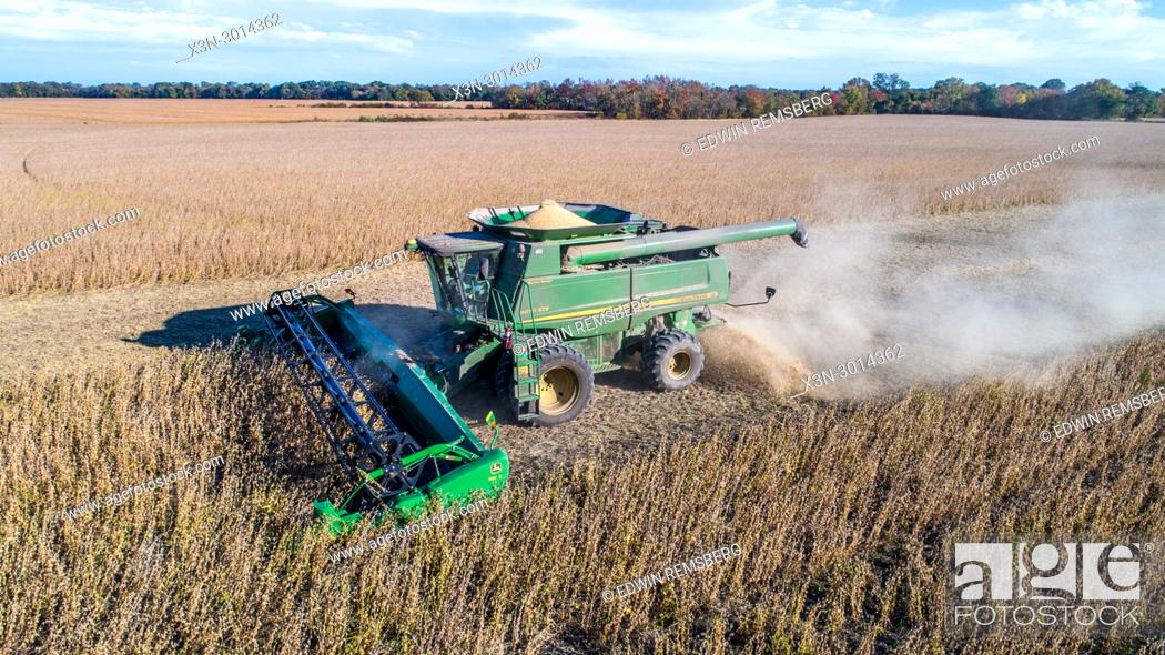 Stock Photo: Aerial view of combine harvester driving through rows of soybeans and kicking up dust, Maryland, USA.