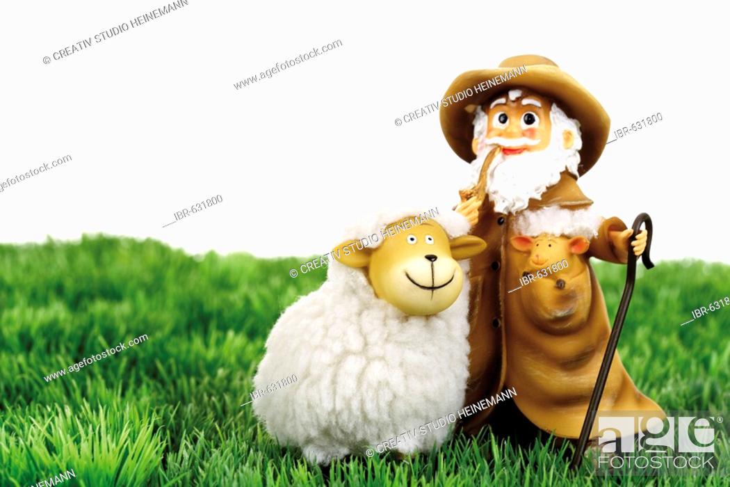 Shepherd with sheep on grass, Stock Photo, Picture And Rights Managed  Image. Pic. IBR-631800 | agefotostock