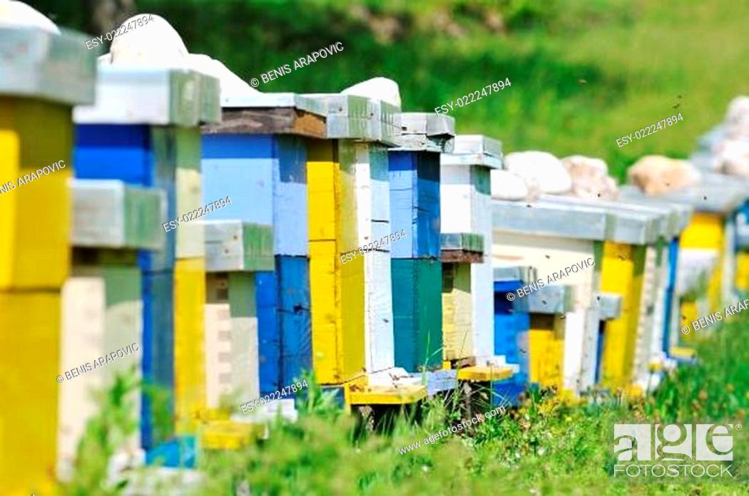 Stock Photo: bee home at meadow.
