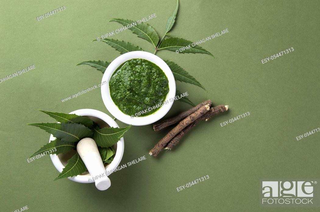 Stock Photo: Medicinal Neem leaves in mortar and pestle with paste and twigs on green background.