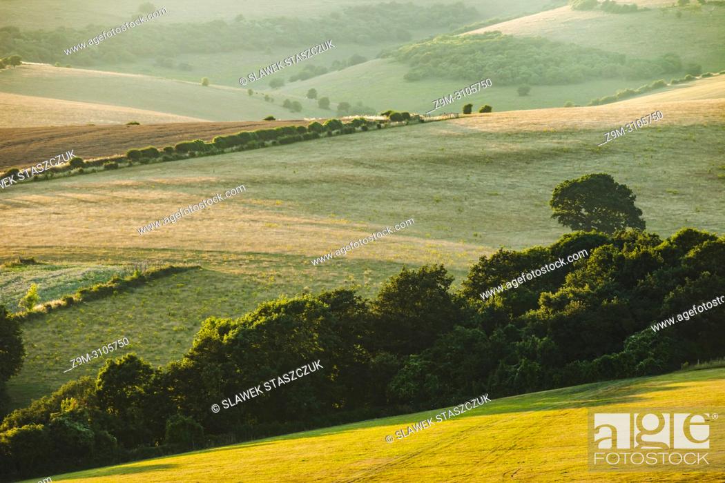 Stock Photo: Summer evening in South Downs National Park, East Sussex, England.
