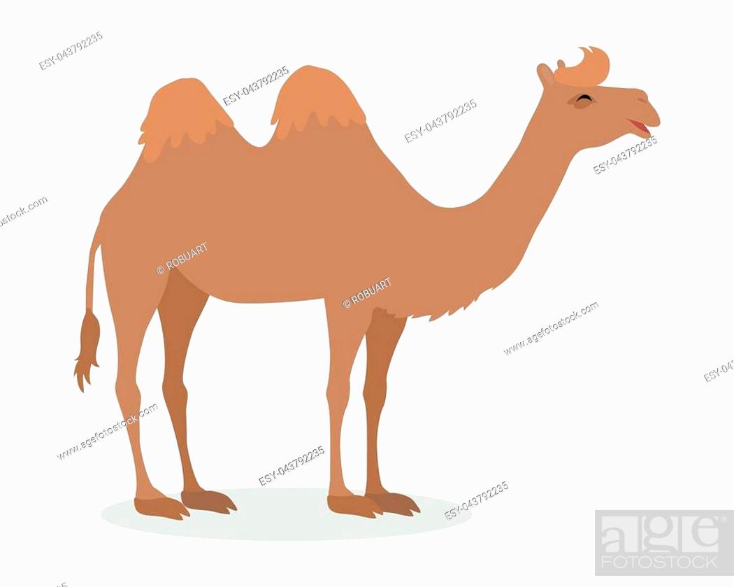 Bactrian camel cartoon character. Funny camel with two humps flat vector  isolated on white, Stock Vector, Vector And Low Budget Royalty Free Image.  Pic. ESY-043792235 | agefotostock