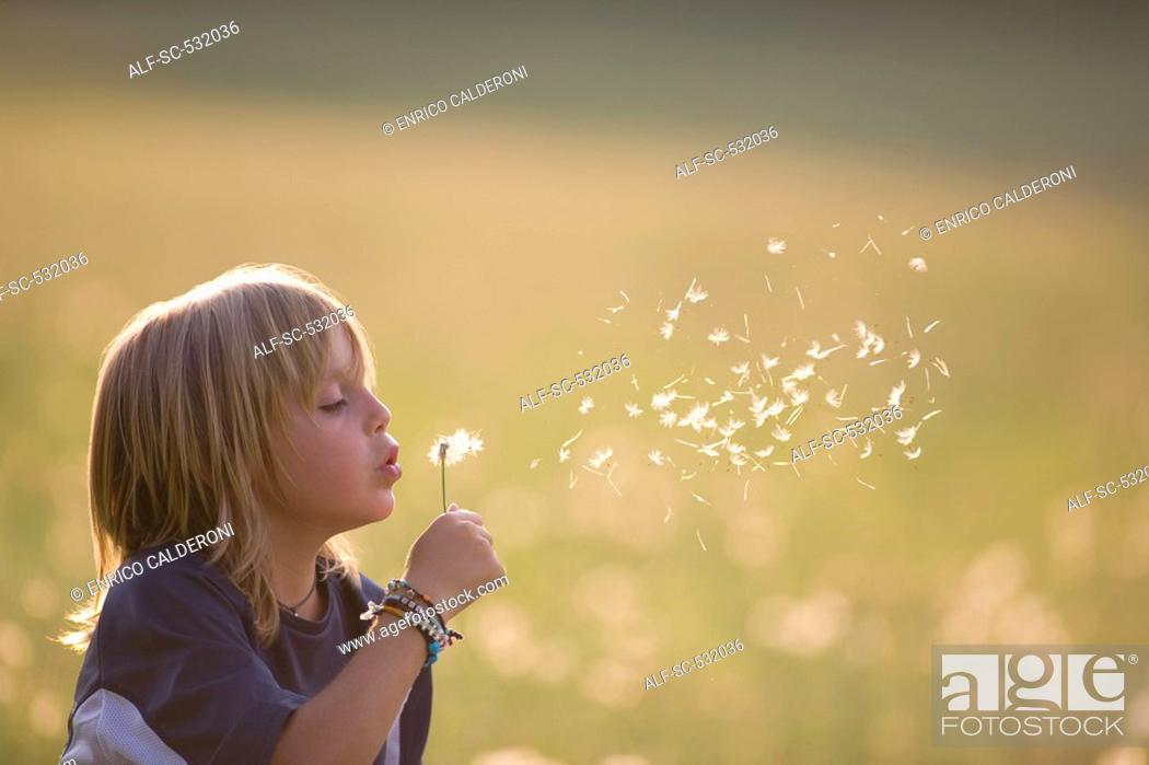 Stock Photo: Soccer boy blowing dandelion in field.