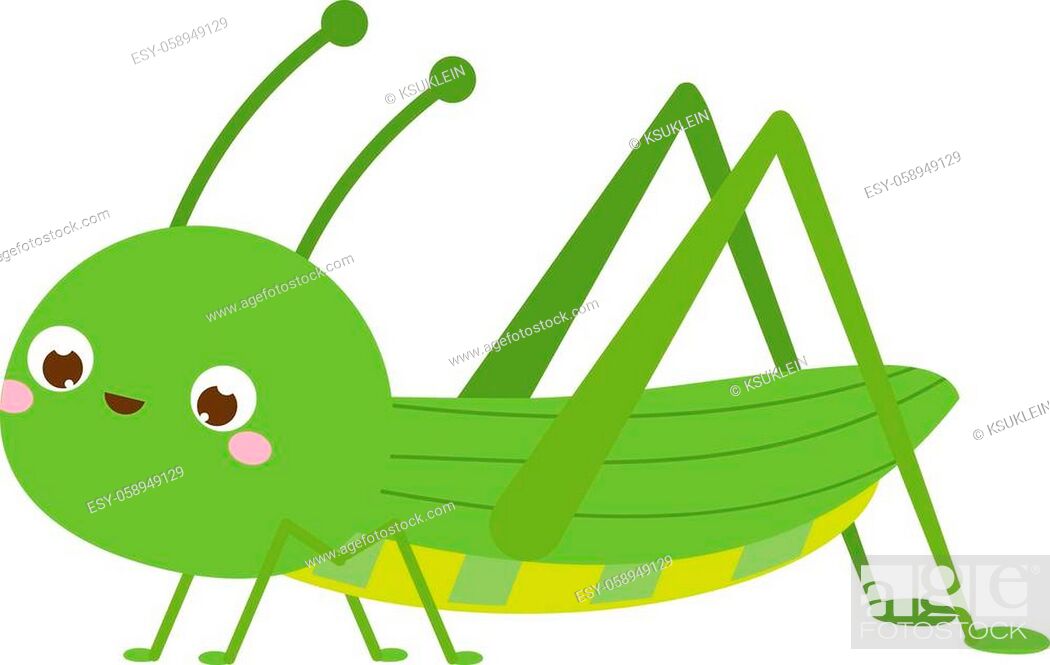 Cute grasshopper. Cartoon insect character. Vector illustration, clip art,  Stock Vector, Vector And Low Budget Royalty Free Image. Pic. ESY-058949129  | agefotostock