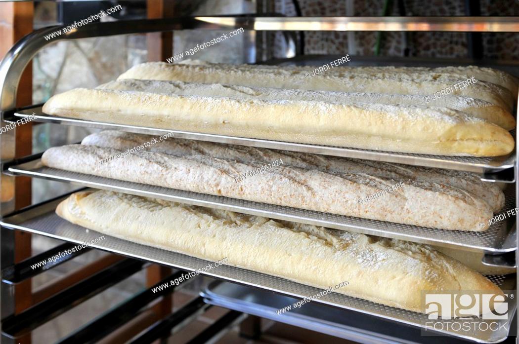 Stock Photo: Raw loaves trays, barras de pan crudo en bandejas.