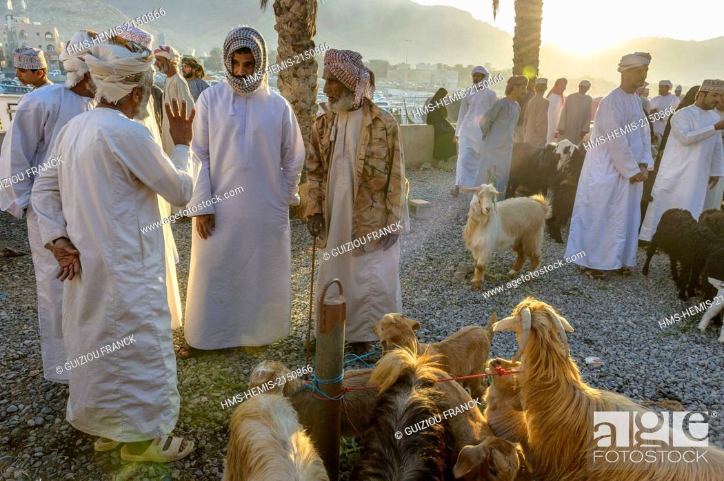 Stock Photo: Sultanate of Oman, gouvernorate of Ad-Dakhiliyah, Nizwa, the friday livestock market.