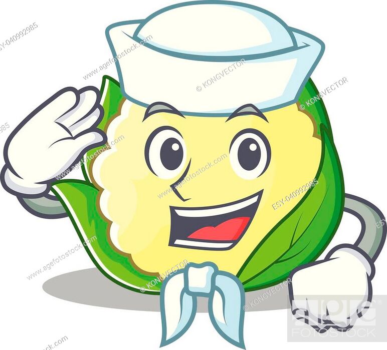 Sailor cauliflower character cartoon style vector illustration, Stock  Vector, Vector And Low Budget Royalty Free Image. Pic. ESY-040992985 |  agefotostock