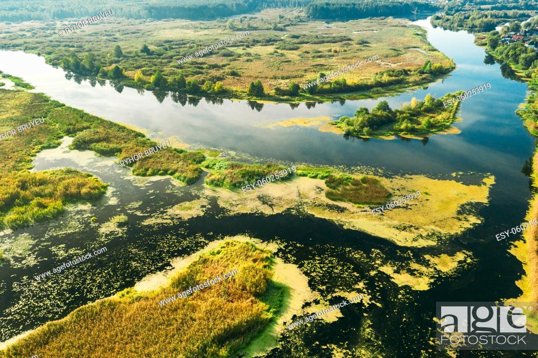 Stock Photo: Aerial View Green Marsh And River Landscape In Summer Day. Top View Of Beautiful European Nature From High Attitude In Summer Season. Drone View.