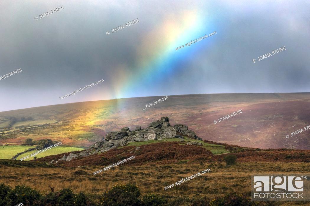 Stock Photo: Bonehill Rocks, Dartmoor, Devon, England, United Kingdom.