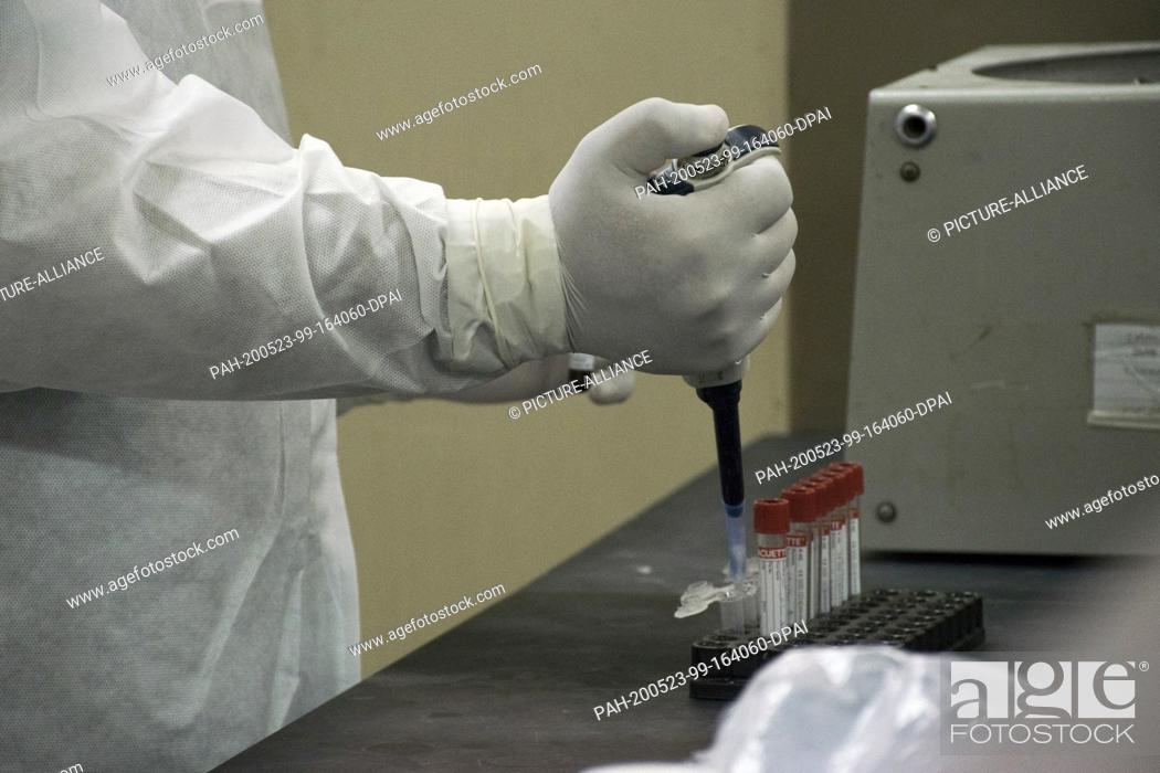 Stock Photo: dpatop - 21 May 2020, Egypt, Giza: A picture made available on 23 May 2020 shows a medic analysing swabs taken from patients suspected to have contracted.