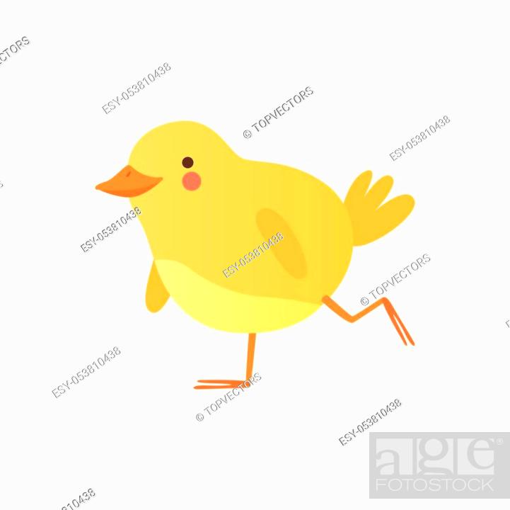 Cute baby chicken walking, funny cartoon bird character vector Illustration  isolated on a white..., Stock Vector, Vector And Low Budget Royalty Free  Image. Pic. ESY-053810438 | agefotostock