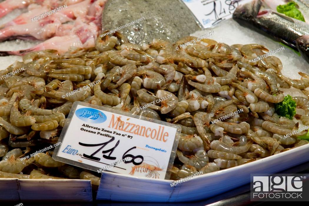 Stock Photo: Caramote prawns or triple-Grooved shrimps on the fish market.