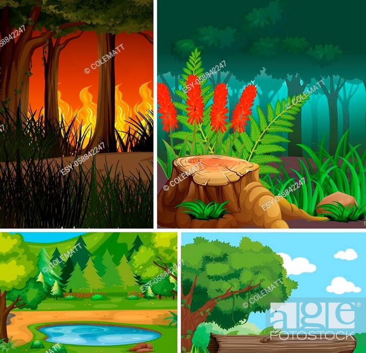 Four different nature scene of forest cartoon style and nature disasters  illustration, Stock Vector, Vector And Low Budget Royalty Free Image. Pic.  ESY-058842247 | agefotostock