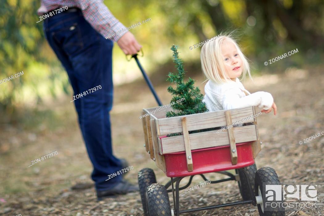 Stock Photo: Loving Father Pulls Baby Girl in Wagon with Christmas Tree Outdoors.