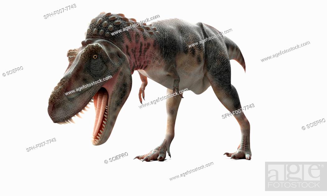 Stock Photo: Tarbosaurus dinosaur, computer artwork.